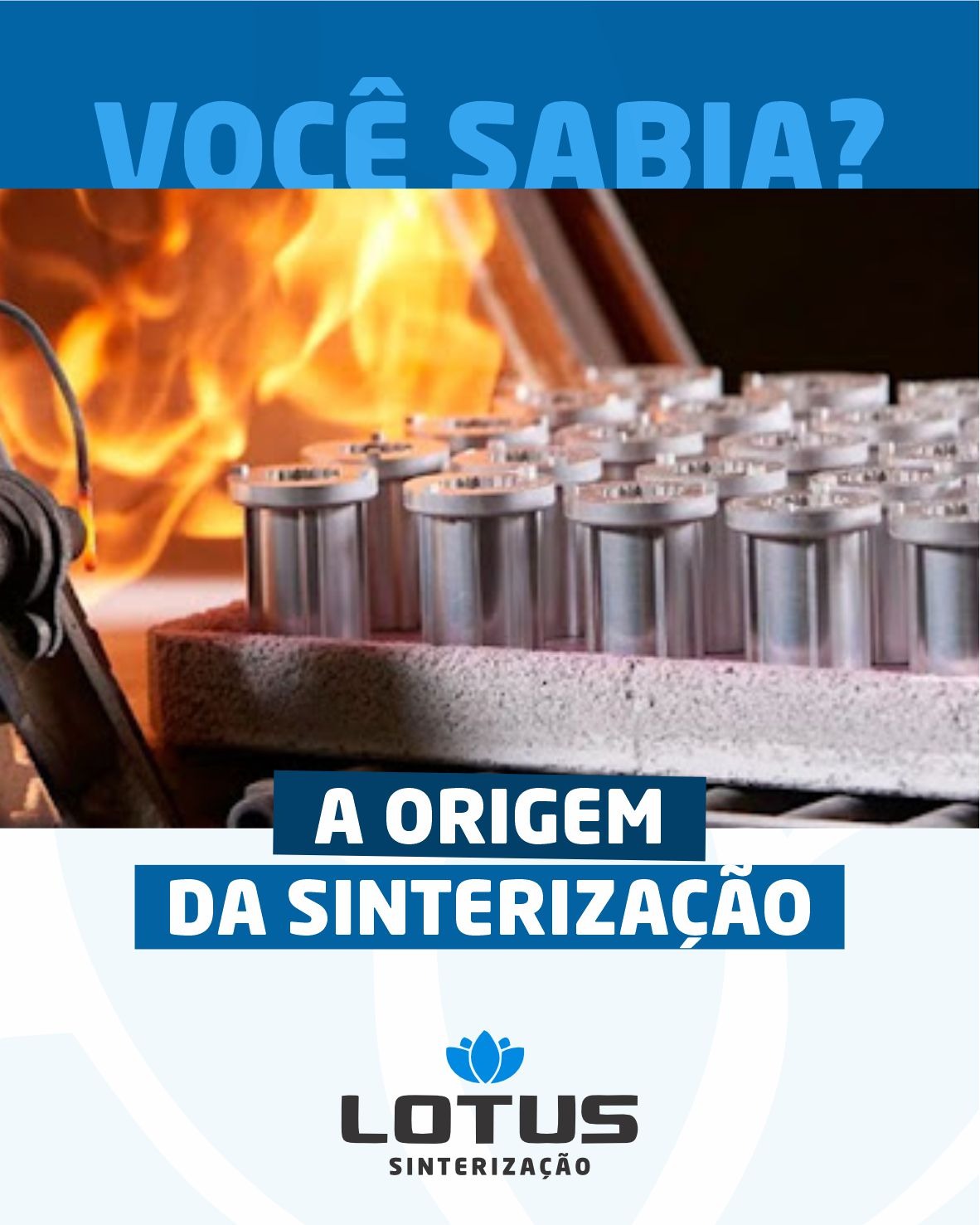 Você sabia?